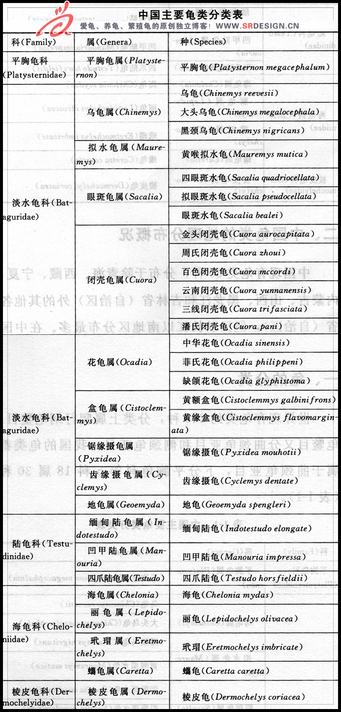 乌龟的种类--中国主要龟类分类表